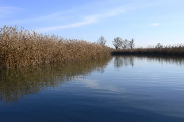 Espectamiento Cana Mincio Del Río Lombardia Italia — Foto de Stock