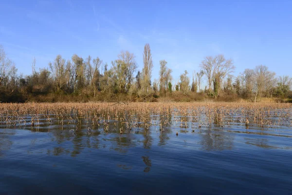 Zona Vallazza Parque Del Río Mincio Lombardía Italia — Foto de Stock