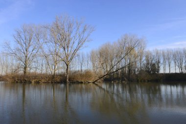 Mincio Nehri 'nin Parktaki Vallazza Konumu, Lombardiya, İtalya, 03-12-13