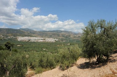 Ülke Gargano Bölgesi, Puglia, İtalya, 16-07-11