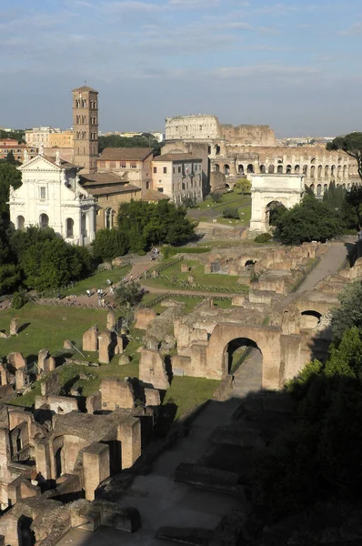 Forum Romano Nella Città Roma Lazio Italia — Foto Stock