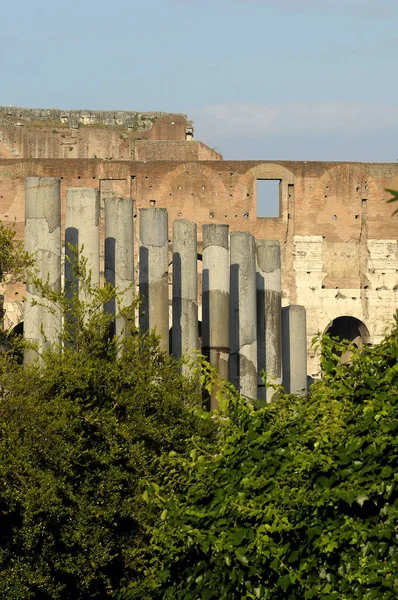 Restituzioni Del Forum Romano Nella Città Roma Lazio Italia — Foto Stock