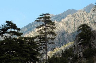 CORSİKA, FRANSA, 16-08-11 Dağları