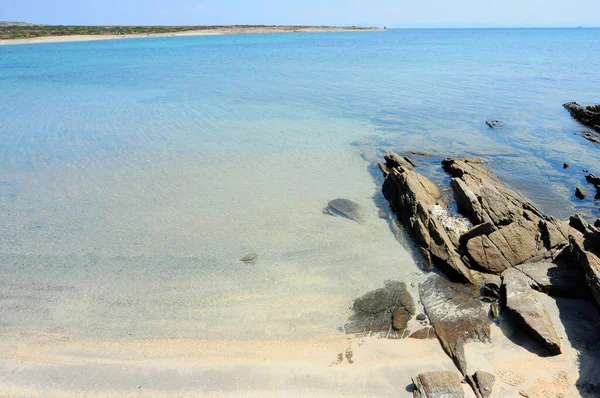 Beach Het Nationale Park Asinara Sardinia Italië — Stockfoto