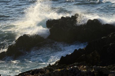 Deniz ve Kayalar, Peak Subrido 'nun Deniz fenerinin yanında, 19-08-15