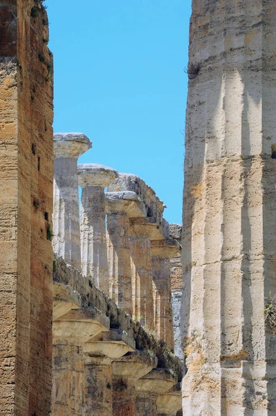 Columns Greek Temple Paestum Campania Italy — Stock Photo, Image