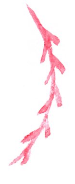 El yapımı, suluboya Yaprak Yaprağı Elementi