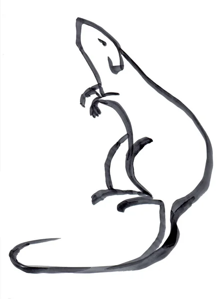 Hand Drawn Rat Chinese New Year Symbol — Stock Photo, Image