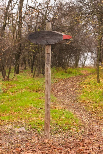 Señal de madera en blanco en el bosque brumoso. Hermosa naturaleza con hierba verde. Indicador de dirección con espacio de copia . —  Fotos de Stock