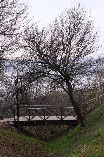 Un vecchio ponte pedonale in legno su un burrone nella foresta nebbiosa autunnale. Parco vuoto vicino al fiume. carta da parati viaggio strada . — Foto Stock