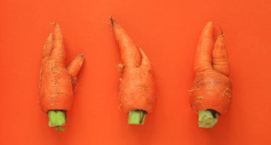 Çirkin yemek. Parlak turuncu arka planda deforme olmuş havuçlar. Yiyecek atığı kavramı. Minimum yassı, pop sanat tarzı.