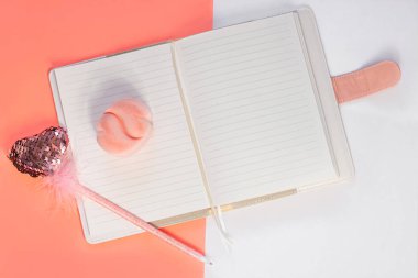 Valentine Flatlay. Boş günlük, beyaz arka planda pembe kalp şeklinde tüy. Not defteri modeli, şirin kız tarzı..