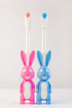 Beyaz arka planda şirin tavşanlar şeklinde çocuk diş fırçaları. Boş kalpli iki tavşan..