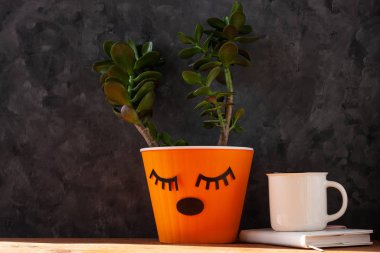 Portakal kabında sulu bitki. Yeşil boynuzları olan yaratıcı ren geyikleri. Minimalist ev dekorasyonu, şehir ormanı.