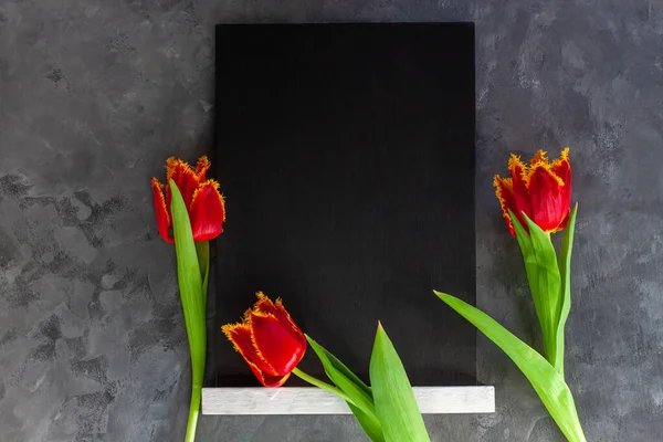 Simulacro Pizarra Negra Con Flores Rojas Tulipán Sobre Fondo Hormigón — Foto de Stock