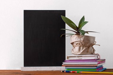 Kask, kitap yığını, kahverengi kraft kağıdına sarılı yeşil ev bitkisi olan kalemler beyaz arka plan üzerine. Uzaklık eğitimi, e-öğrenme, karantina çevrimiçi öğrenme modeli, okul afişi.