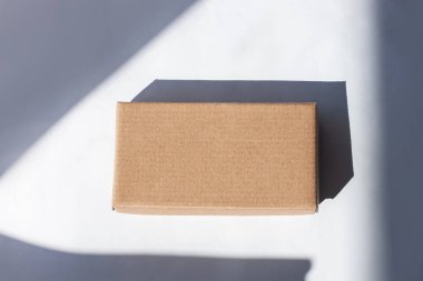 Yaratıcı minimalizm tarzında beyaz arka planda doğal güneş ışığı gölgesi olan Kraft karton paket sonrası. Kahverengi eko hediye kutusu, çevrimiçi alışveriş konsepti.