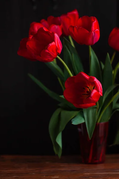 Incrível Florescendo Buquê Tulipas Vermelhas Fundo Preto Moody Escuro Baixo — Fotografia de Stock