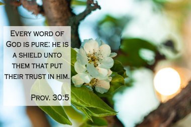 Bulanık doğa arka planında İncil 'den alıntılar. Allah 'ın her sözü temizdir. O, kendisine dayanıp güvenenleri koruyup kollamaktadır. Müminler için kart imzası. İlham verici ayet dua düşüncesi.