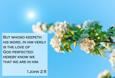 İncil 'de arka planda çiçek açan ağaçtan alıntılanır. İnançlılar için ilham verici Hristiyanlık dizeleri. Ama kim sözünü tutarsa, Tanrı' nın sevgisi gerçekten mükemmeldir..