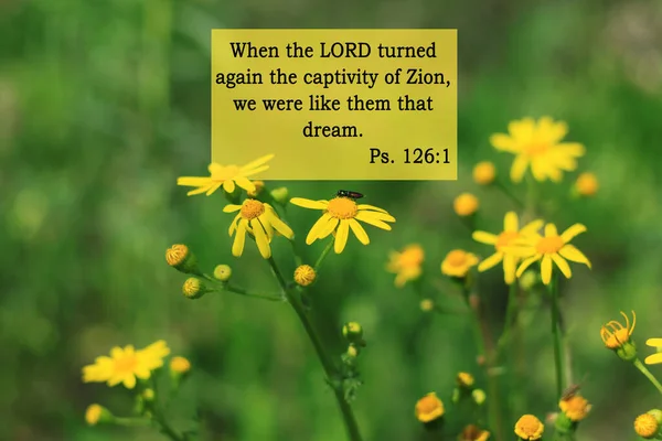Bible quotes on yellow flowers background. Card with text sign for Lord Christ believers. Inspirational praying thought. When the LORD turned again the captivity of Zion, we were like them that dream.