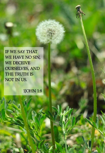 Bible quotes on dandelion flowers background. Card text for Lord Christ believers. Inspiration for praying. If we say that we have no sin, we deceive ourselves, and the truth is not in us. 1John 1:8