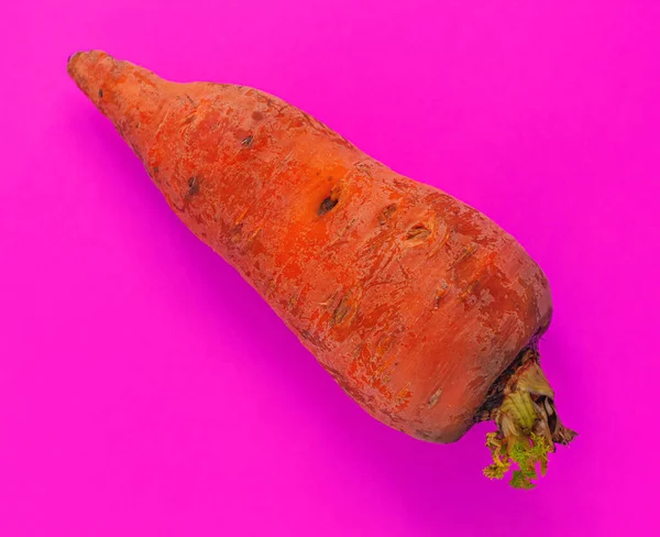 Brzydkie Jedzenie Duża Zdeformowana Organiczna Marchewka Różowym Pastelowym Tle Jasne — Zdjęcie stockowe