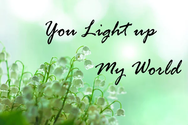 You light up my world text sign. Blooming Lilies of the valley green leaves. Blurred bokeh lights flowers background selective focus. Love greeting card. Mother's Women's Valentine's day wallpaper.