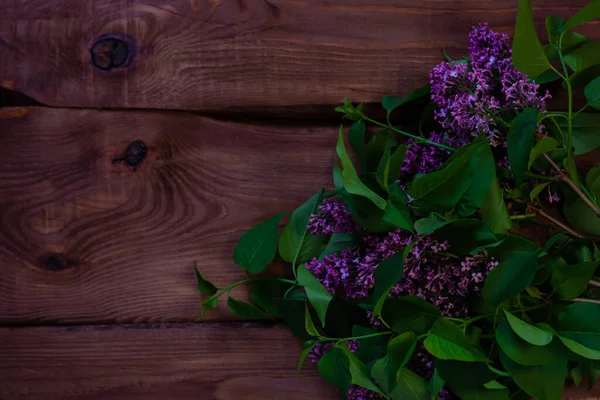 茶色の木の背景選択的な焦点に新鮮な緑の葉を持つ紫色のライラックの花 低キーカラー 自然バナーコピースペースをコストします グリーティングカードモックアップ — ストック写真