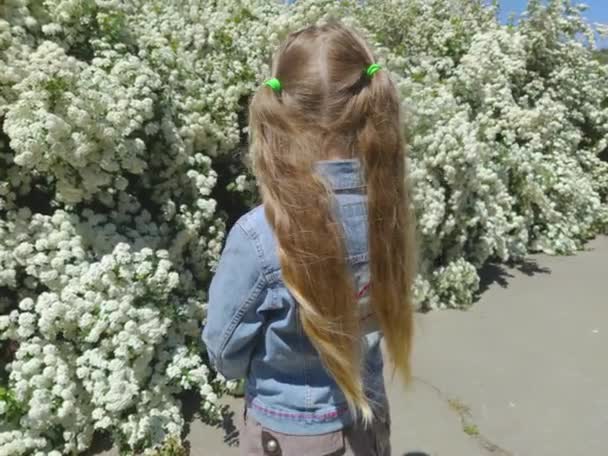 Vacker Liten Flicka Med Långt Blont Hår Med Två Hästsvansar — Stockvideo