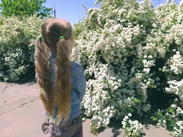 Mooi Klein Meisje Met Lang Blond Haar Met Twee Paardenstaarten — Stockvideo