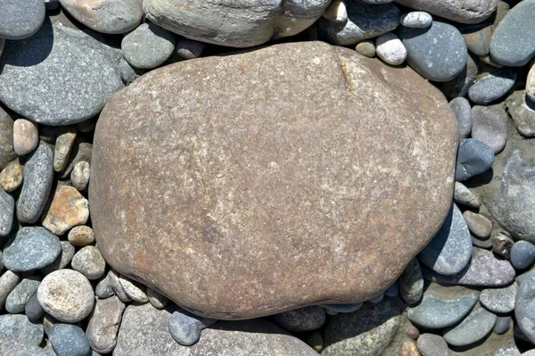 Duży czerwony odcień kamienia pośród drobnych szarości na ziemi. — Zdjęcie stockowe