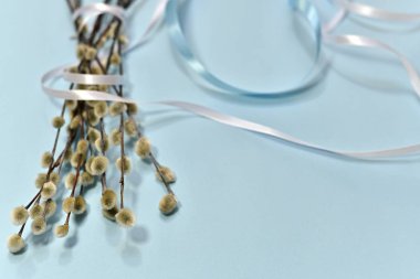  Bir buket söğüt dalı, kabarık tomurcuklar, sivri uçlu şeritler, keskin olmayan dallar, gökyüzü mavisi arka planda..