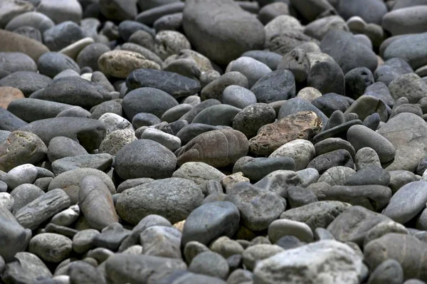 River pebbles are not large for the whole frame. — Stockfoto