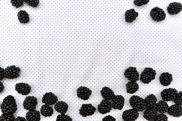Fundo com um quadro de bagas de amora-preta frescas em um fundo branco em bolinhas finas . — Fotografia de Stock