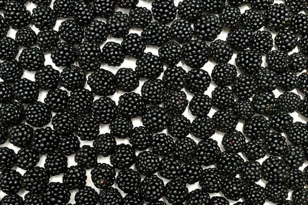 A textured bright background made from a layer of fresh blackberry berries. — Stock Photo, Image