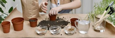 Yeşillik mikro tohumları ekiyorum. Çocuk toprağı bir tencereye koyuyor ve bir el de saksının içine ekiyor..