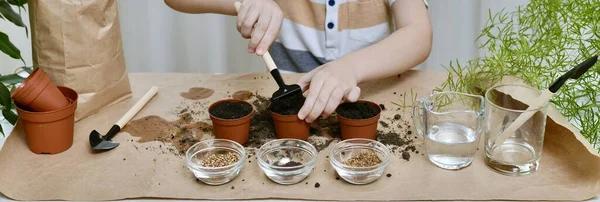 Planting seeds of micro greens of beets, coriander, cabbage. Hands of a child level the soil with a rake in a pot. — Stock Photo, Image