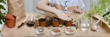  Pancar tohumu, kişniş, lahana ekiyorum. Çocuk, toprağı avuç içi ile bir tencereye sıkıştırıyor, tohumları ekiyor..