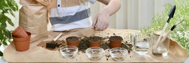  Çocuk elini yukarıdan tencereye koyuyor, ekili pancar tohumlarını örtüyor. Kapalı.