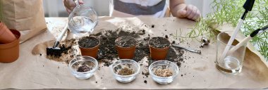  Pancar tohumu, kişniş, lahana ekiyorum. Çocuk sürahiyi saksıdaki tohumları sulamak için aldı..