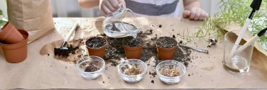  Pancar tohumu, kişniş, lahana ekiyorum. Bir çocuk saksıya ekilen tohumların üzerine su döker..