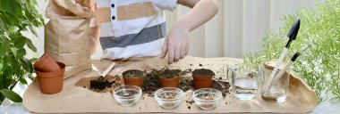  Çocuk, mikro yeşillik, kişniş, pancar ve lahana ekmek için, bir avuç eldeki tohumu bir kaba döküyor. İçeride, organize bir çalışma alanında..