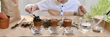 Çocuğun elleri, mikro lahana yetiştirmek için toprağı çömlek içinde düzleştiriyor. Kapalı alanda, bahçe aletleriyle çevrili..