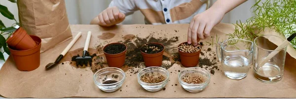 La mano del niño cuidadosamente pone las semillas de cilantro en una olla de tierra. En la sala dedicada a la jardinería . — Foto de Stock