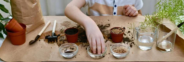 The child hand reaches for the cup with seeds for the cabbage seeds for planting. In the room engaged in gardening. — Stock Photo, Image