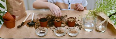 Bebek el ekmek için bir tencere toprağa pancar tohumu döker. Bahçe işleriyle meşgul bir odada..