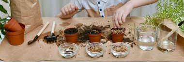 Çocuk el, kişniş tohumlarını bir tencereye boşaltır. Bahçe işleriyle meşgul bir odada..