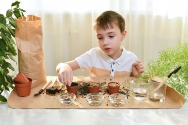 Pencereden süzülen ışık saçan çocuk bitkilerin tohumlarını saksıya eker.. 
