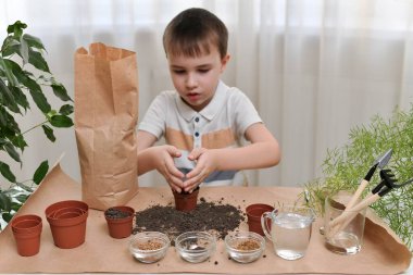  Olay örgüsü evde mikro yeşillikler yetiştirmekle ilgili. Çocuk toprağı, çalışan bir ortamda şekillenmiş katlanmış palmiye dolu bir kaba döküyor..